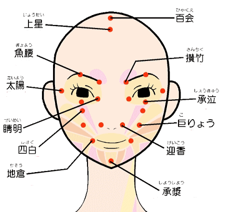 造顔マッサージ　